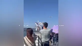 开云网址 -关于F1季后赛上演强强对话，滇池霹雳队强势反弹粤西天虎队，团队配合流畅；团队防守值得称道的信息