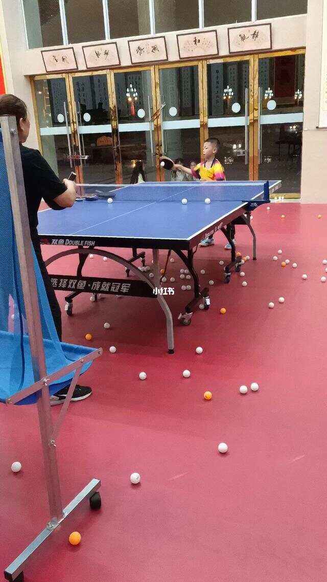  中国乒乓球队团队协作新闻 