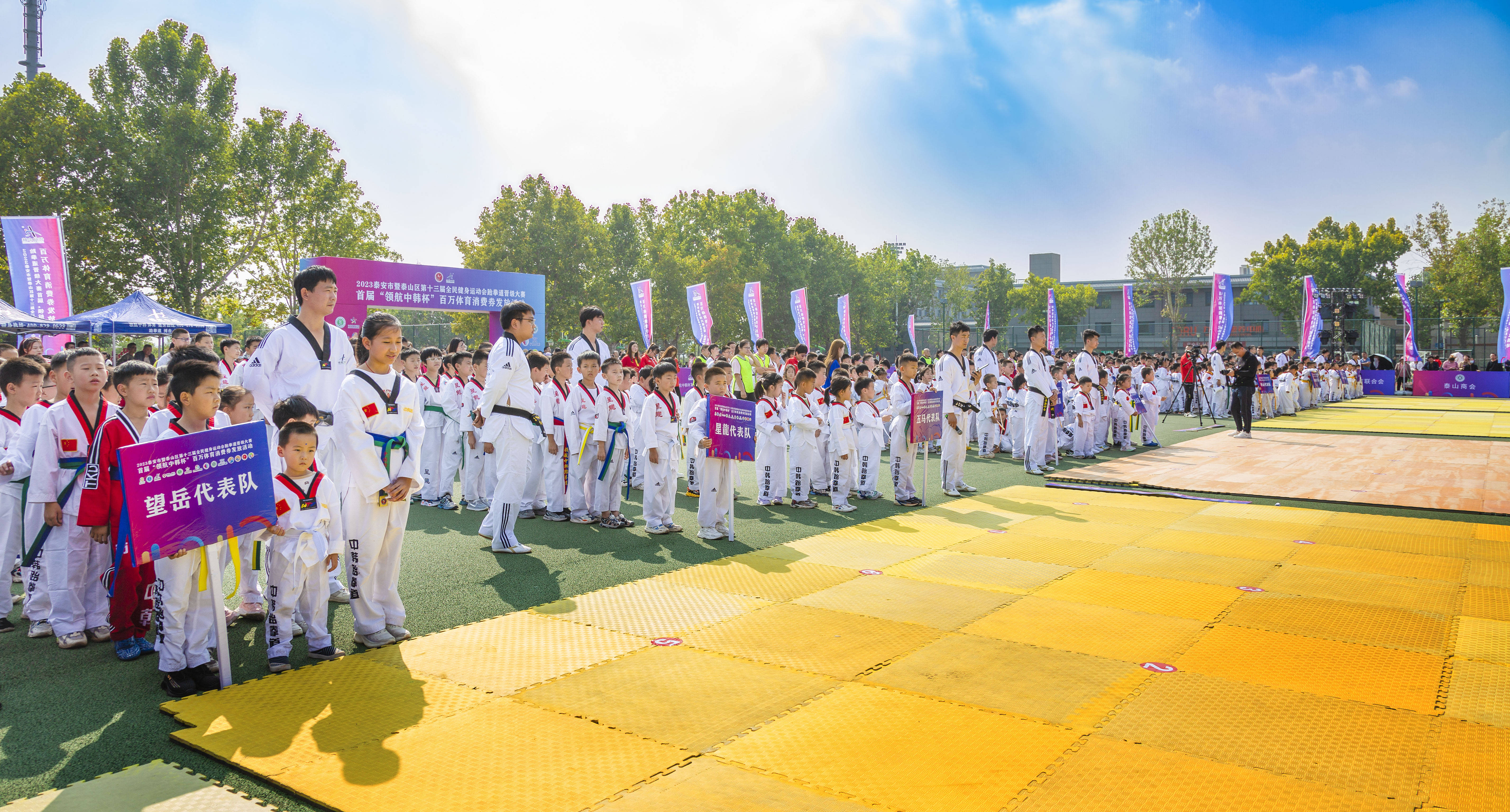 开云官网入口 - 跆拳道夜战：皖南飞鹰队逆转泰山犀牛队，主帅临场妙招球迷期待下一战