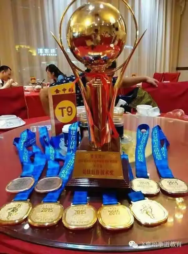  跆拳道夜战：皖南飞鹰队逆转泰山犀牛队，主帅临场妙招球迷期待下一战